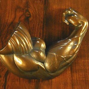 male bicep plaque