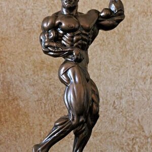 mid side shot bodybuilding award