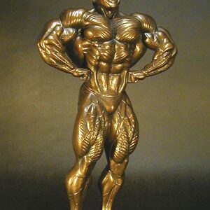 male lat spread bodybuilding trophy