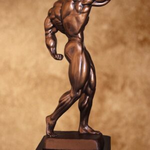 men's bodybuilding overall trophy