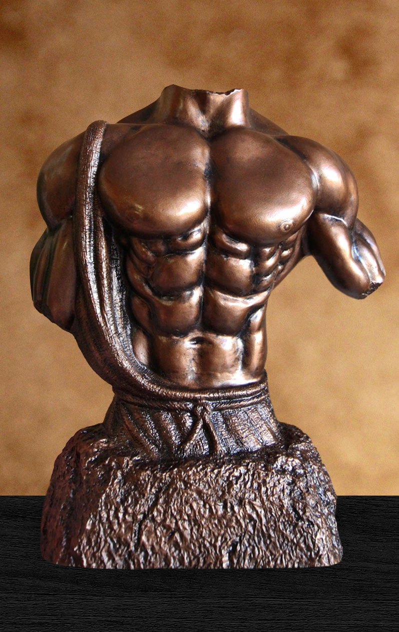 male physique torso