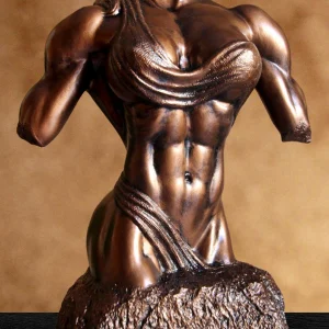 female bodybuilding torso