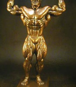 large male double bicep