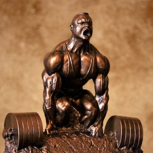 down dead lift bronze