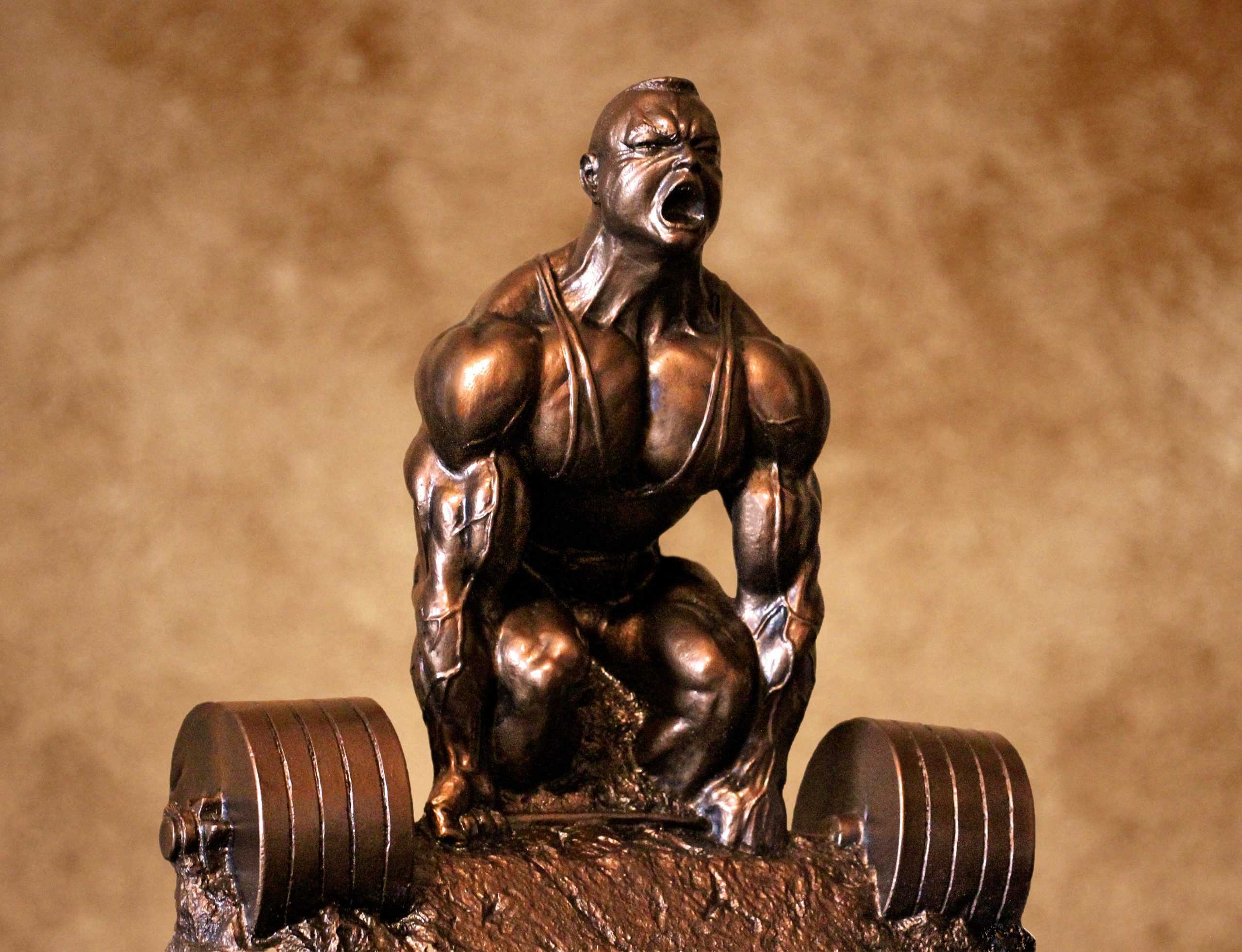 down dead lift bronze