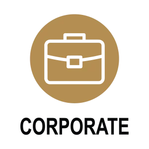 Corporate category icon